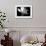 Magnolia in Subtle Light-George Oze-Framed Photographic Print displayed on a wall