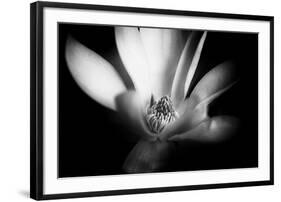 Magnolia in Subtle Light-George Oze-Framed Photographic Print