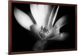 Magnolia in Subtle Light-George Oze-Framed Photographic Print