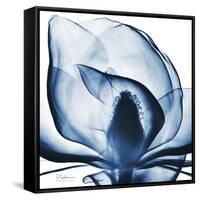 Magnolia Indigo-Albert Koetsier-Framed Stretched Canvas