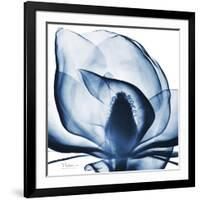 Magnolia Indigo-Albert Koetsier-Framed Art Print