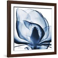 Magnolia Indigo-Albert Koetsier-Framed Art Print