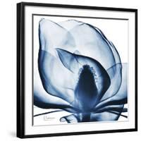 Magnolia Indigo-Albert Koetsier-Framed Giclee Print