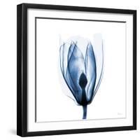 Magnolia Indigo-Albert Koetsier-Framed Art Print