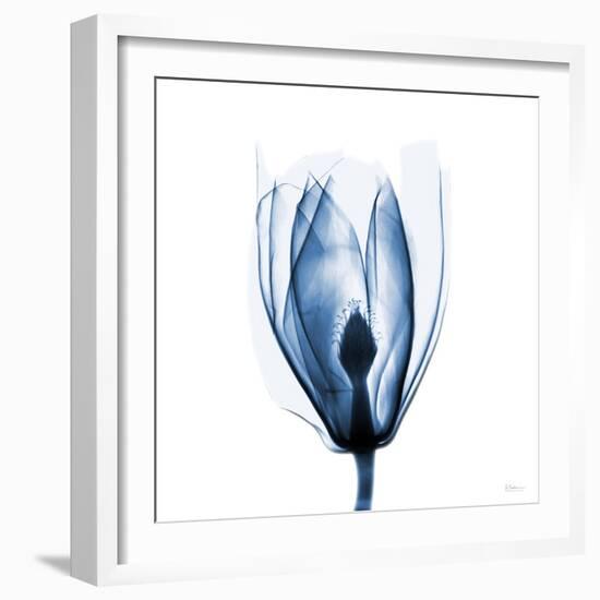 Magnolia Indigo-Albert Koetsier-Framed Art Print