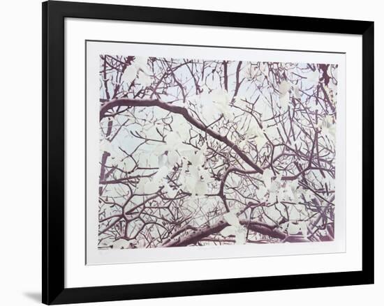 Magnolia IV-Jon D'Orazio-Framed Limited Edition