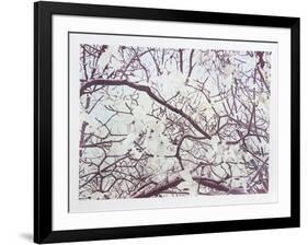 Magnolia IV-Jon D'Orazio-Framed Limited Edition