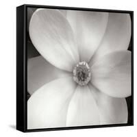 Magnolia IV-Jim Christensen-Framed Stretched Canvas