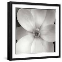 Magnolia IV-Jim Christensen-Framed Photographic Print