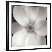 Magnolia IV-Jim Christensen-Framed Photographic Print