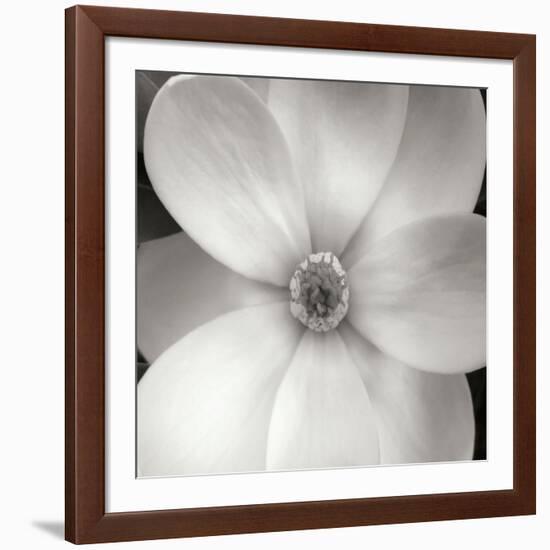 Magnolia IV-Jim Christensen-Framed Photographic Print