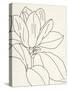 Magnolia Line Drawing v2 Crop-Moira Hershey-Stretched Canvas