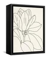 Magnolia Line Drawing v2 Crop-Moira Hershey-Framed Stretched Canvas