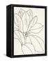 Magnolia Line Drawing v2 Crop-Moira Hershey-Framed Stretched Canvas