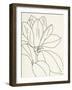 Magnolia Line Drawing v2 Crop-Moira Hershey-Framed Art Print