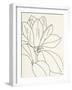 Magnolia Line Drawing v2 Crop-Moira Hershey-Framed Art Print