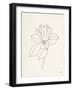 Magnolia Line Drawing-Moira Hershey-Framed Art Print