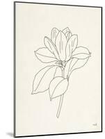 Magnolia Line Drawing-Moira Hershey-Mounted Art Print