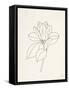 Magnolia Line Drawing-Moira Hershey-Framed Stretched Canvas