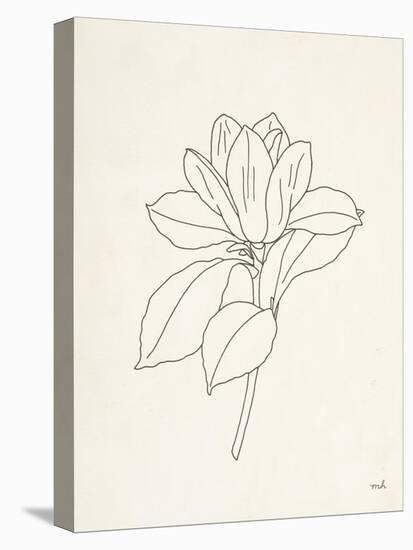 Magnolia Line Drawing-Moira Hershey-Stretched Canvas