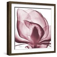 Magnolia Marcela-Albert Koetsier-Framed Premium Giclee Print