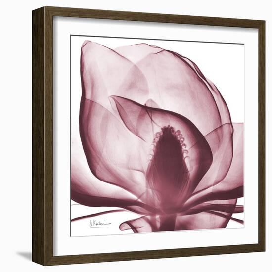 Magnolia Marcela-Albert Koetsier-Framed Premium Giclee Print