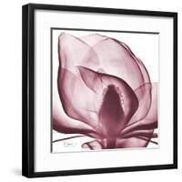 Magnolia Marcela-Albert Koetsier-Framed Premium Giclee Print