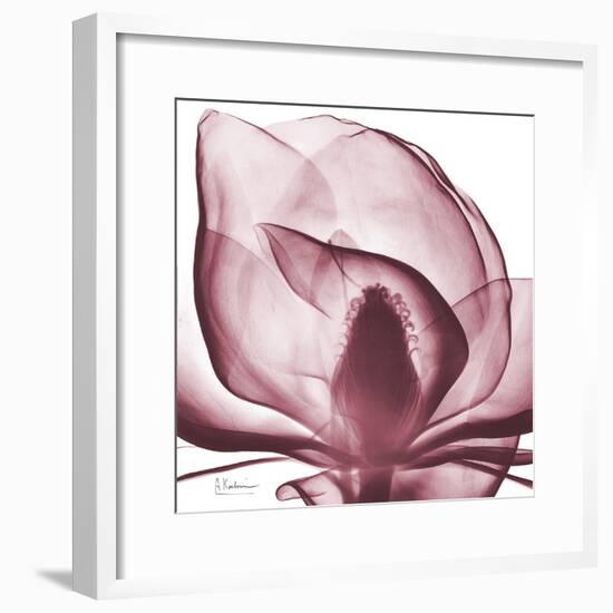 Magnolia Marcela-Albert Koetsier-Framed Premium Giclee Print