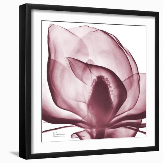 Magnolia Marcela-Albert Koetsier-Framed Premium Giclee Print