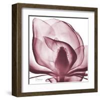 Magnolia Marcela-Albert Koetsier-Framed Art Print