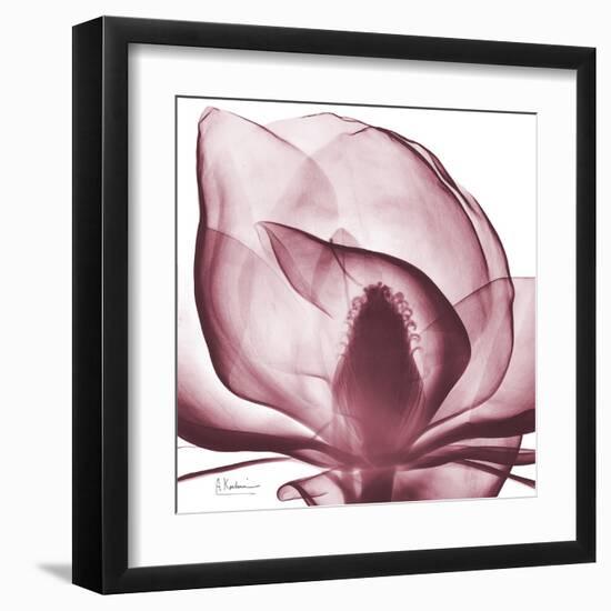 Magnolia Marcela-Albert Koetsier-Framed Art Print