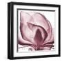 Magnolia Marcela-Albert Koetsier-Framed Art Print