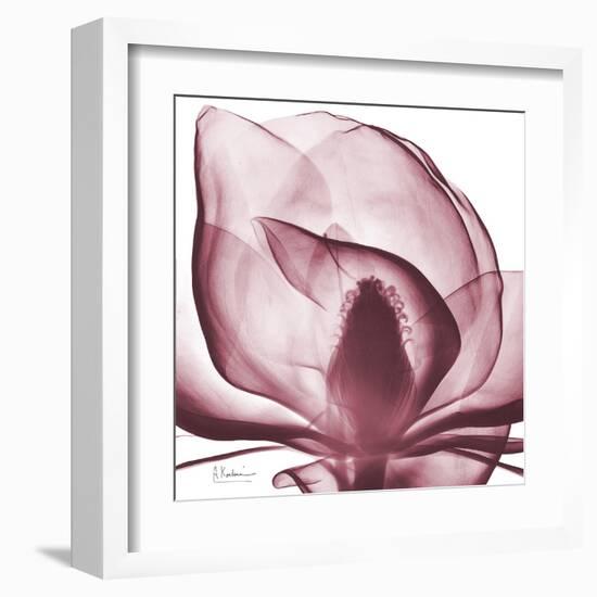 Magnolia Marcela-Albert Koetsier-Framed Art Print