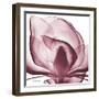 Magnolia Marcela-Albert Koetsier-Framed Art Print