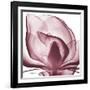 Magnolia Marcela-Albert Koetsier-Framed Art Print