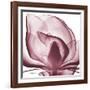 Magnolia Marcela-Albert Koetsier-Framed Art Print