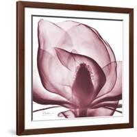 Magnolia Marcela-Albert Koetsier-Framed Premium Giclee Print