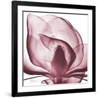 Magnolia Marcela-Albert Koetsier-Framed Premium Giclee Print