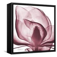 Magnolia Marcela-Albert Koetsier-Framed Stretched Canvas