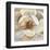 Magnolia Masterpiece II-Louise Montillio-Framed Art Print