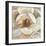 Magnolia Masterpiece II-Louise Montillio-Framed Art Print