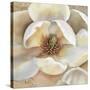 Magnolia Masterpiece II-Louise Montillio-Stretched Canvas