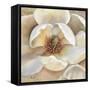 Magnolia Masterpiece II-Louise Montillio-Framed Stretched Canvas