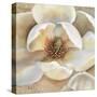 Magnolia Masterpiece II-Louise Montillio-Stretched Canvas