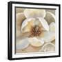 Magnolia Masterpiece II-Louise Montillio-Framed Art Print