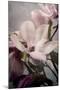Magnolia Memories 1-Julie Greenwood-Mounted Art Print