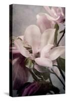 Magnolia Memories 1-Julie Greenwood-Stretched Canvas