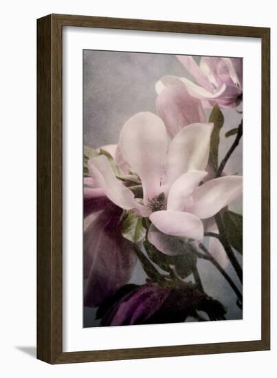 Magnolia Memories 1-Julie Greenwood-Framed Art Print