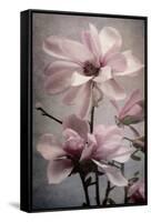 Magnolia Memories 2-Julie Greenwood-Framed Stretched Canvas