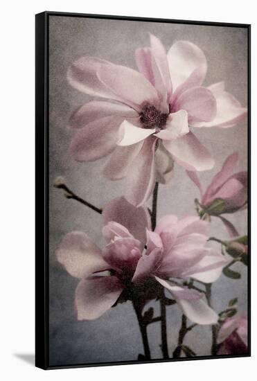 Magnolia Memories 2-Julie Greenwood-Framed Stretched Canvas